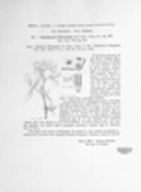 Pseudopeziza medicaginis image